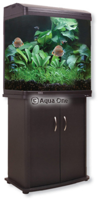 New Aquariums Instock at Ferrybridge Aquatics 16/11/2013