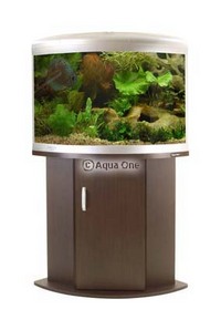New Aquariums Instock at Ferrybridge Aquatics 16/11/2013
