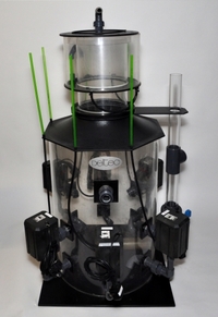 Deltec skimmer AP 1006. Like a New,Perfect Condition ,,NOT,,,FOR FAINT HEARTED PLEASE ,,,,,