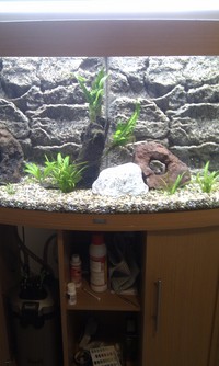 Juwel Rio 180 with stand - loads of extras £350.00