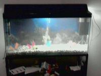 3ft clearseal fishtank / aquarium