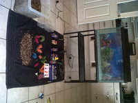 3ft clearseal fishtank / aquarium