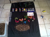 3ft clearseal fishtank / aquarium