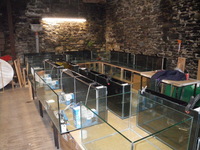 TRADE PRICE AQUARIUMS - DIRECT TO THE PUBLIC