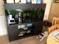 Final Reduction due to moving property. Complete Tropical Aquarium set up 120cm 4 Foot Tank for sale