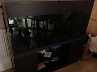 Final Reduction due to moving property. Complete Tropical Aquarium set up 120cm 4 Foot Tank for sale