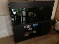 Final Reduction due to moving property. Complete Tropical Aquarium set up 120cm 4 Foot Tank for sale