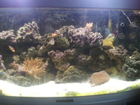 marine tank