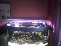 marine tank