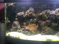 marine tank
