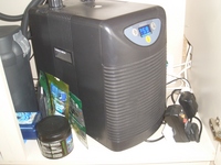 marine tank and equipment including fish, corals and inverts