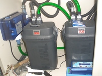 marine tank and equipment including fish, corals and inverts
