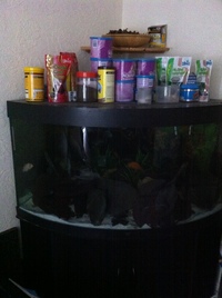 Juwel 350 Corner tank, FX5 Filter, Fish Food ETC ETC
