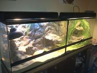 custom 3D aquarium backgrounds