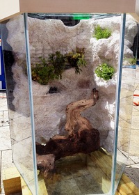 custom 3D aquarium backgrounds