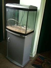 aqua one or aqua 65 tank for sale