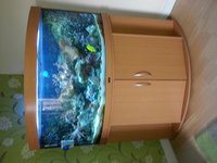 Juwel Trigon 350 marine corner fish tank beech full setup - £ 800