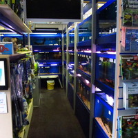 New Aquariums Instock at Ferrybridge Aquatics 16/11/2013