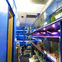 New Aquariums Instock at Ferrybridge Aquatics 16/11/2013