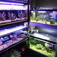 New Aquariums Instock at Ferrybridge Aquatics 16/11/2013