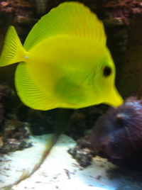 Breaking down Marine tank