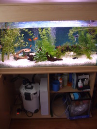 Full Tropical Setup