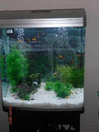 Aqua One - AquaStyle 620T