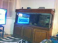 6ft marine set up plus more london