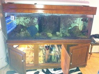 6ft marine set up plus more london