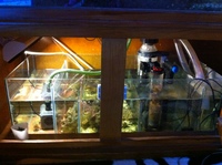6ft marine set up plus more london