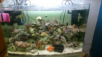 Fish tank 120 LITRES approx BOW FRONTED, ROUNDED CORNERS down to £100