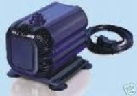 Marine Setup, marine Fish, Aqua Medic pumps, loads of other kit
