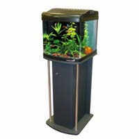 CUBE AQUARIUM WITH STAND+