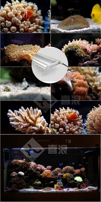 REEF SERIES CREE LED AQUARIUM LIGHTING FROM AQUADESIGN