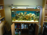 juwel rio 400 marine tank