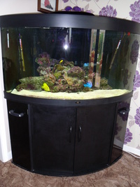 Complete Marine Set up including Equipment and Marine Fish