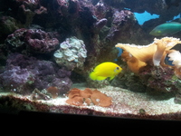 Full Marine set up