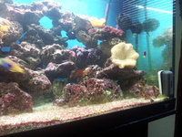 Full Marine set up
