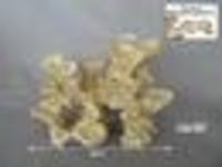 aqua roche ceramic