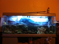 5 feet tank for sale in Leeds