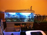 5 feet tank for sale in Leeds