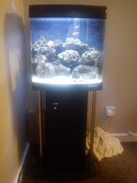 80l BOYD Nano Marine Tank and Stand