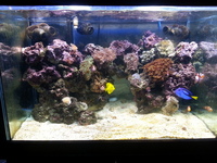 MARINE SET UP