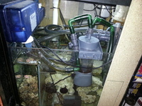 MARINE SET UP