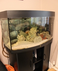 SOLD SOLD Malawi Fish Tank Setup for SALE PRESTON £180 REDUCED
