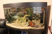 SOLD SOLD Malawi Fish Tank Setup for SALE PRESTON £180 REDUCED