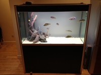 FOR SALE - Fluval Profile 1200