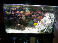 BREAKING MARINE TANK