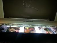 BREAKING MARINE TANK