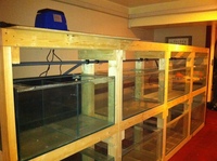 8x3ft Aquarium Rack Fish House Clearance